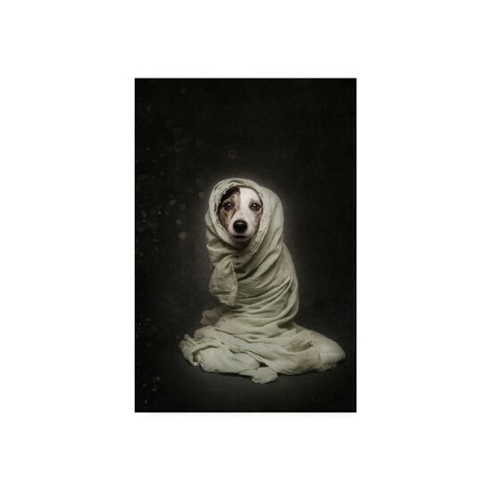 Budget ⌛ Trademark Global Heike Willers Wrapped Canvas Art - 20 X 25 Multi 🤩