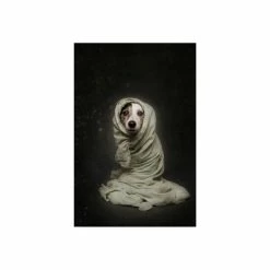 Budget 🎉 Trademark Global Heike Willers Wrapped Canvas Art - 37 X 49 Multi 🧨