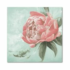 Budget 🛒 Courtside Market Peonies II 20 X 20 Gallery-Wrapped Canvas Wall Art Multi 😀