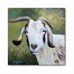 Discount 💯 Courtside Market Susan's Goat Billy 16 X 16 Gallery-Wrapped Canvas Wall Art Multi 🤩