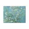 Brand new 🔥 Courtside Market Van Gogh Cherry Blossoms 16 X 20 Gallery-Wrapped Canvas Wall Art Multi 😉