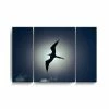 Cheap ✔️ Ready2HangArt Frigatebird 3 Piece Wrapped Canvas Wildlife Wall Art Set, 32 X 48 Multi 🔥
