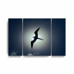 Cheap ✔️ Ready2HangArt Frigatebird 3 Piece Wrapped Canvas Wildlife Wall Art Set, 32 X 48 Multi 🔥
