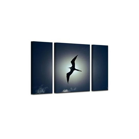 Cheap ✔️ Ready2HangArt Frigatebird 3 Piece Wrapped Canvas Wildlife Wall Art Set, 32 X 48 Multi 🔥 - Image 2