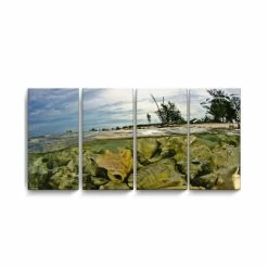 Best Pirce 💯 Ready2HangArt Conch Shells 4 Piece Wrapped Canvas Coastal Wall Art Set, 24 X 48 Multi ❤️