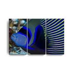 Outlet 🛒 Ready2HangArt Underwater Bleus 3 Piece Wrapped Canvas Sea Life Wall Art Set, 24 X 36 Multi 😍