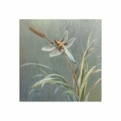 Coupon 🧨 Trademark Global Danhui Nai Natural Detail IV Canvas Art - 19.5 X 26 Multi 😉
