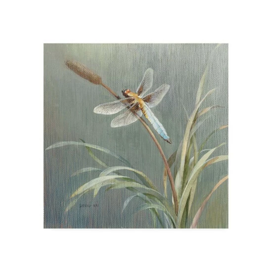 Coupon 🧨 Trademark Global Danhui Nai Natural Detail IV Canvas Art - 19.5 X 26 Multi 😉