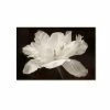Brand new 🥰 Trademark Global Cora Niele 'White Tulip I' Canvas Art, 30 X 47 Open Misce 🤩