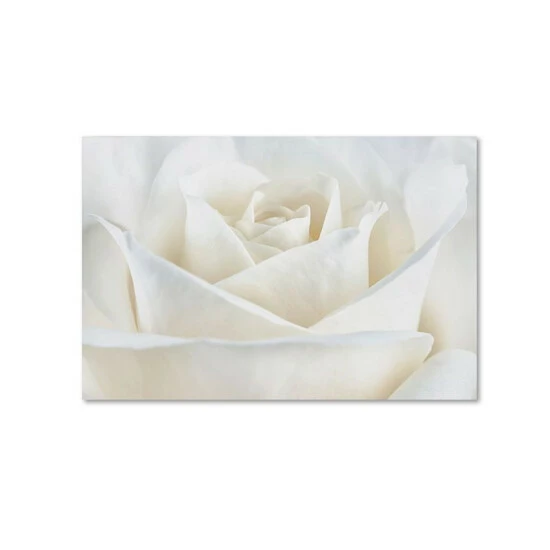 Cheapest π Trademark Global Cora Niele 'Pure White Rose' Canvas Art - 19 X 12 X 2 Multi π