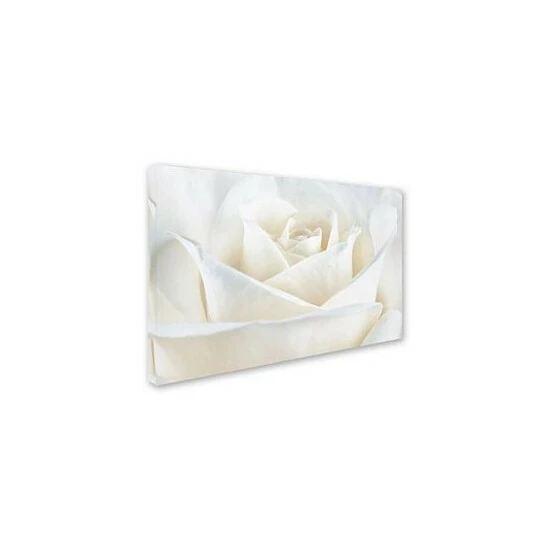 Cheapest π Trademark Global Cora Niele 'Pure White Rose' Canvas Art - 19 X 12 X 2 Multi π - Image 2