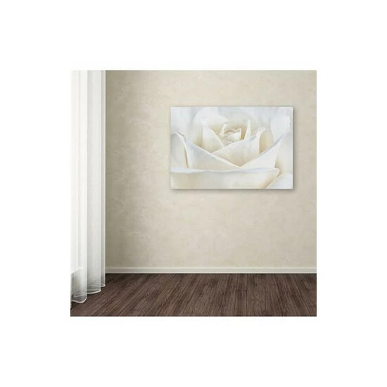 Cheapest π Trademark Global Cora Niele 'Pure White Rose' Canvas Art - 19 X 12 X 2 Multi π - Image 3