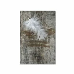 Wholesale 🤩 Trademark Global Cora Niele 'White Feather On Wood' Canvas Art - 19 X 12 X 2 Multi ⭐