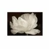 Cheap ❤️ Trademark Global Cora Niele 'White Tulip III' Canvas Art, 30 X 47 Open Misce 🎉