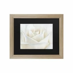 Hot Sale ❤️ Trademark Global Cora Niele Pure White Rose Matted Framed Art - 37 X 49 Multi 🔔