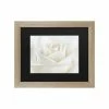 Promo 🧨 Trademark Global Cora Niele Pure White Rose Matted Framed Art - 27 X 33 Multi ⭐