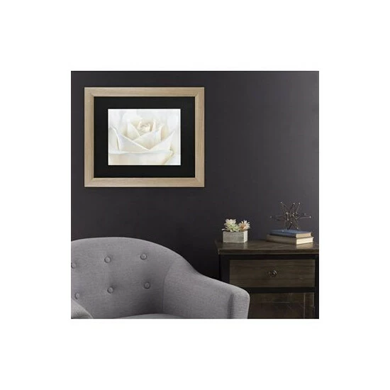 Promo 🧨 Trademark Global Cora Niele Pure White Rose Matted Framed Art - 27 X 33 Multi ⭐ - Image 3