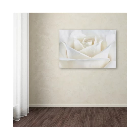 Cheapest π Trademark Global Cora Niele 'Pure White Rose' Canvas Art - 19 X 12 X 2 Multi π - Image 4