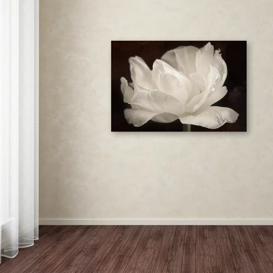 Cheapest 👍 Trademark Global Cora Niele 'White Tulip III' Canvas Art, 22 X 32 Open Misce 🥰 - Image 3